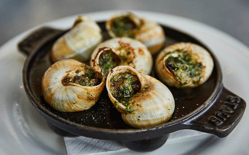 An Immersive Journey at LPM&nbsp;Brickell